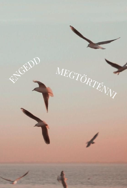 repülnek a madarak a naplementében